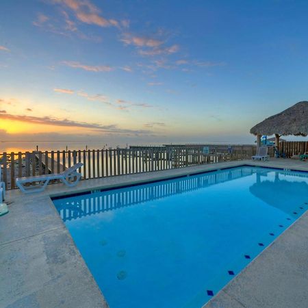 The Pintail By Avantstay Modern Chic Near Ocean Corpus Christi Eksteriør bilde